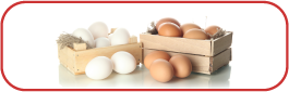 Egg Products